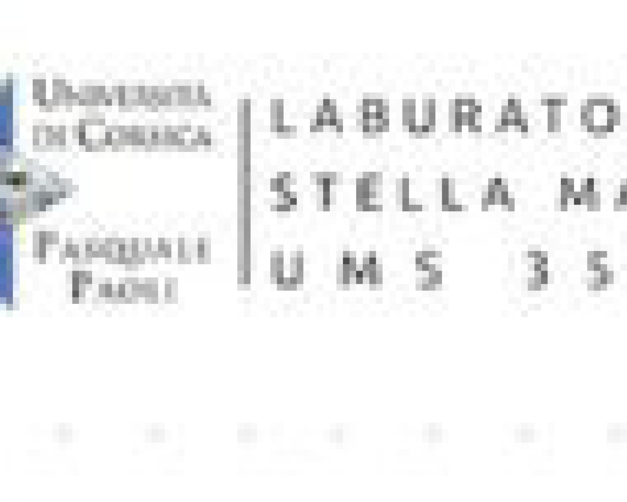 STELLA MARE