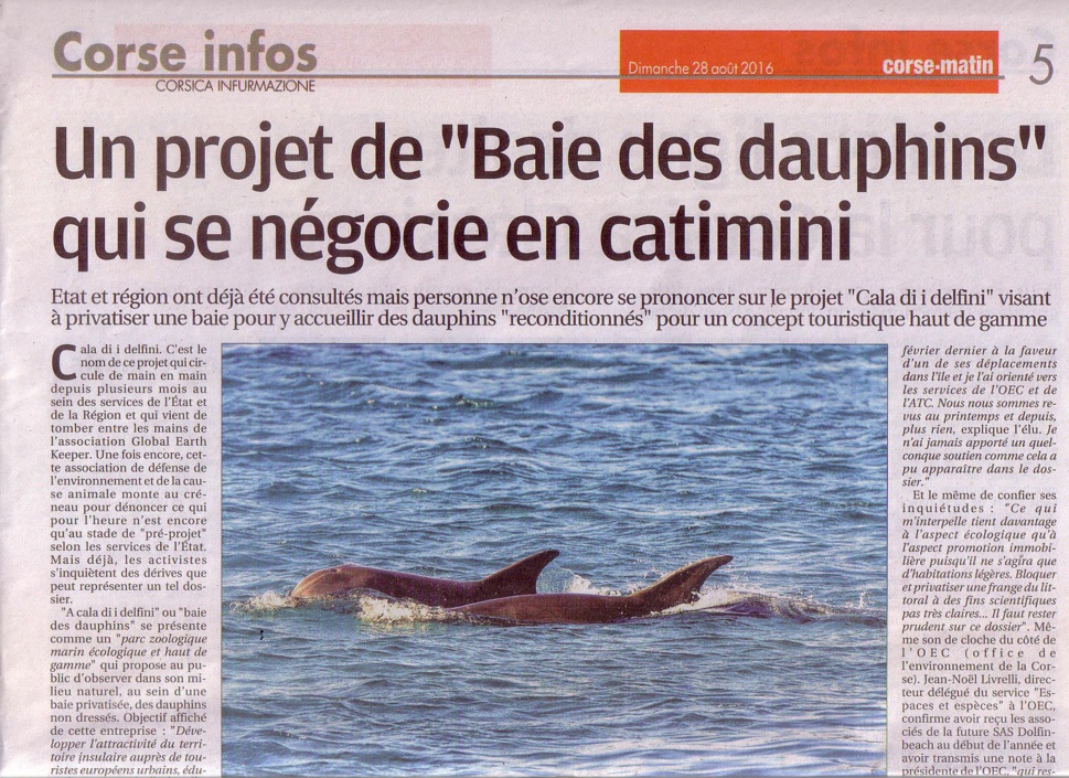 Article n°501