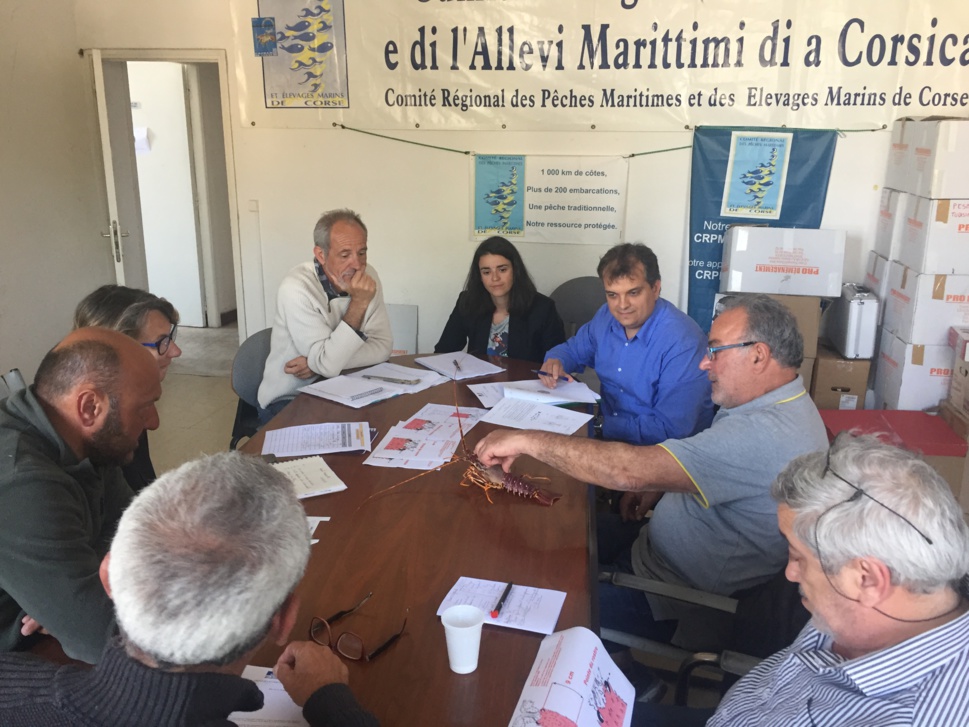 Les services de la DDT-SML2A , les prud'hommes d'Ajaccio se sont retrouvés au CRPMEM de Corse pour harmoniser leur point de vue sur la pêche à la langouste en rappelant la règlementation  actuelle et la réalité économique constatée par les professionnels. Des échanges contructifs de l'avis de Xavier D'Orazio - 1er prud'homme d'Ajaccio