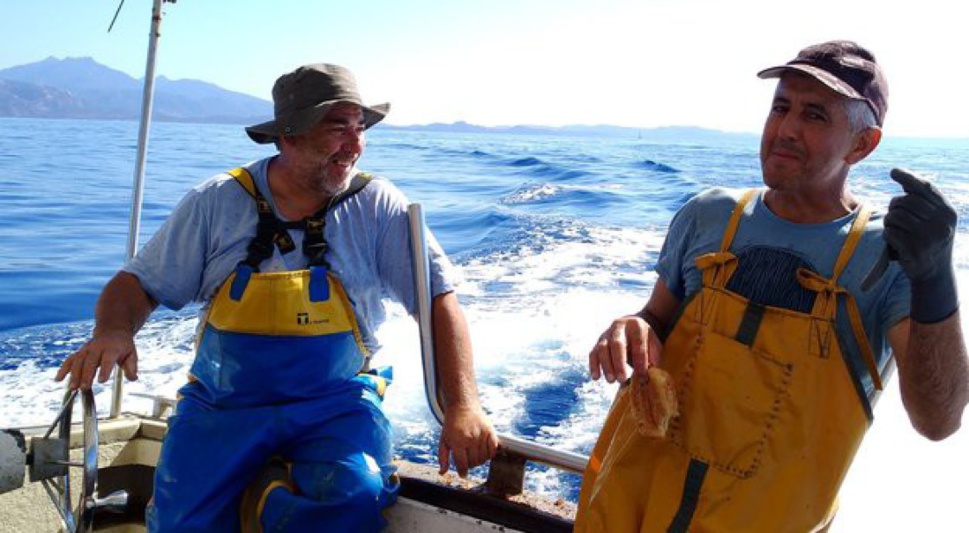 Marin-pêcheur, un métier de "passion" mais "difficile" (cf. Corse-Matin)