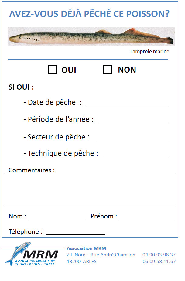 La lamproie et sa capture La lamproie et sa capture