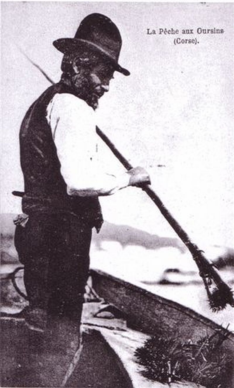 Pêcheur d'Oursin