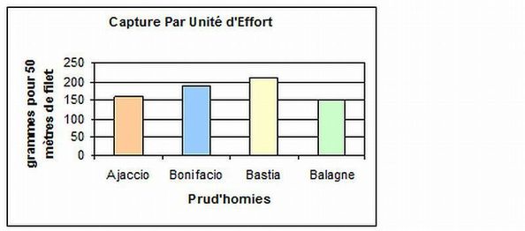 Langouste / Lingusta