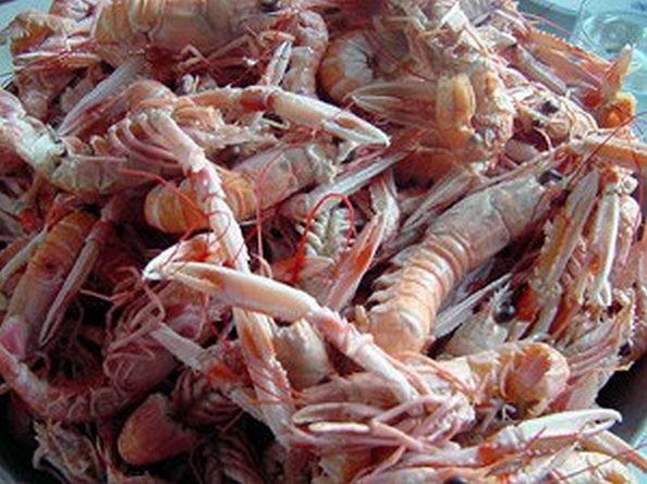 Langoustine / Langustina