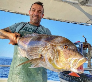 COMMISSIONS COMMISSIONS