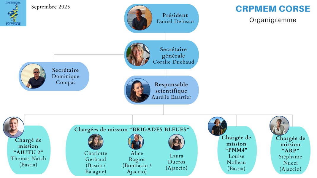 Les salaries du CRPMEM de CORSE Les salaries du CRPMEM de CORSE