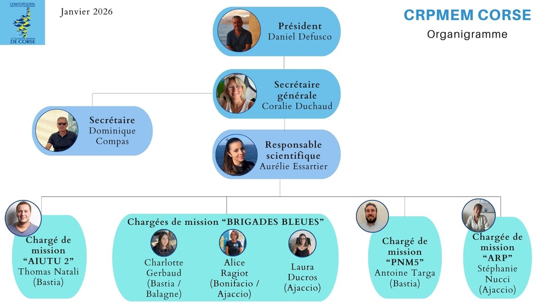 Les salaries du CRPMEM Les salaries du CRPMEM