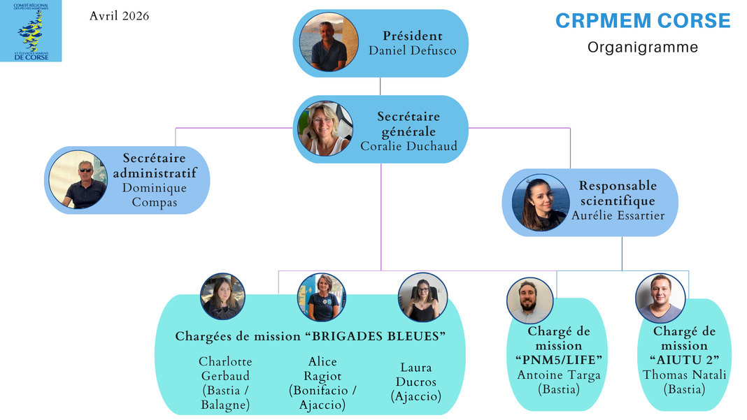 Les salaries du CRPMEM Les salaries du CRPMEM