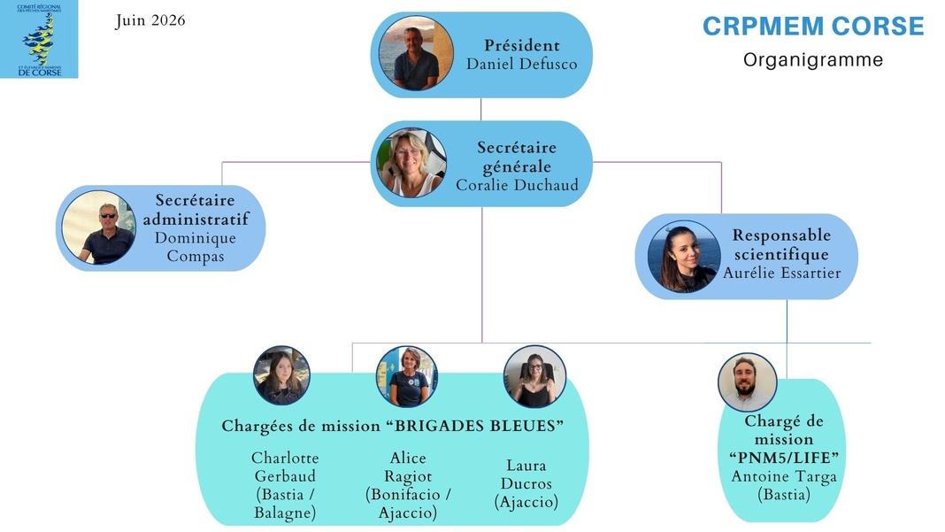 Les salaries du CRPMEM Les salaries du CRPMEM