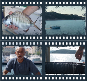 PROMOTION DES METIERS DE LA MER PROMOTION DES METIERS DE LA MER