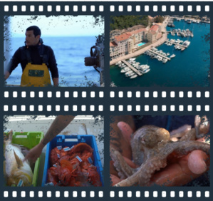 PROMOTION DES METIERS DE LA MER PROMOTION DES METIERS DE LA MER