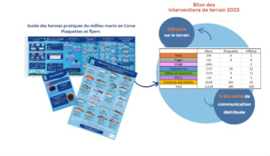 Les brigades bleues