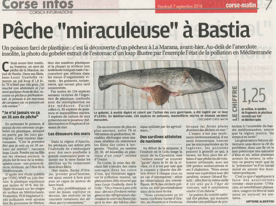 Une pêche bastiaise triste mais bien réelle Une pêche bastiaise triste mais bien réelle