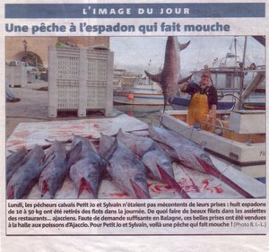 Une peche a l'espadon qui fait mouche - corse matin du 09 février 2011