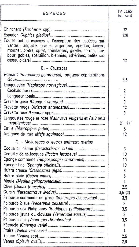 LES REGLEMENTATIONS PLAISANCE