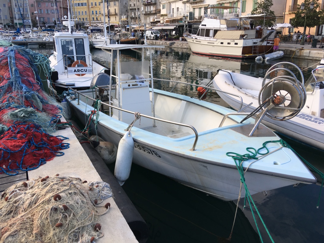 A voir port de pêche Bastia