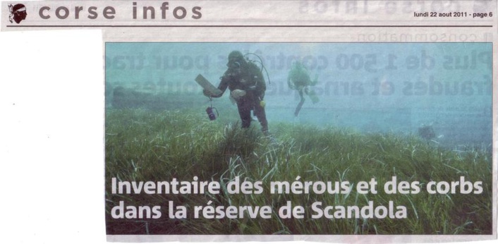 SCANDOLA