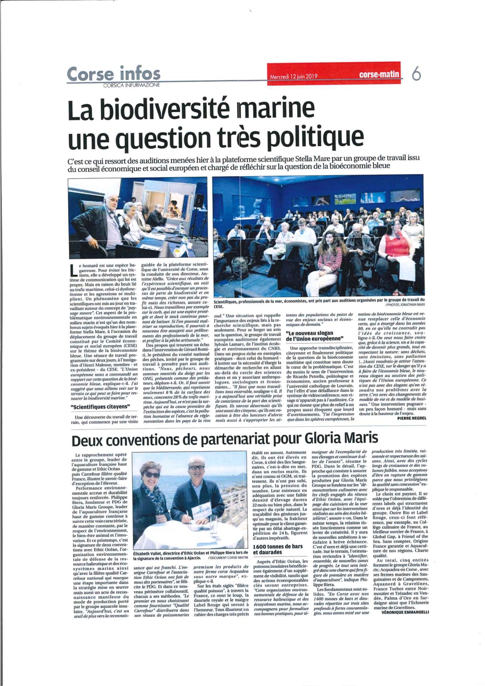 Biodiversité Marine