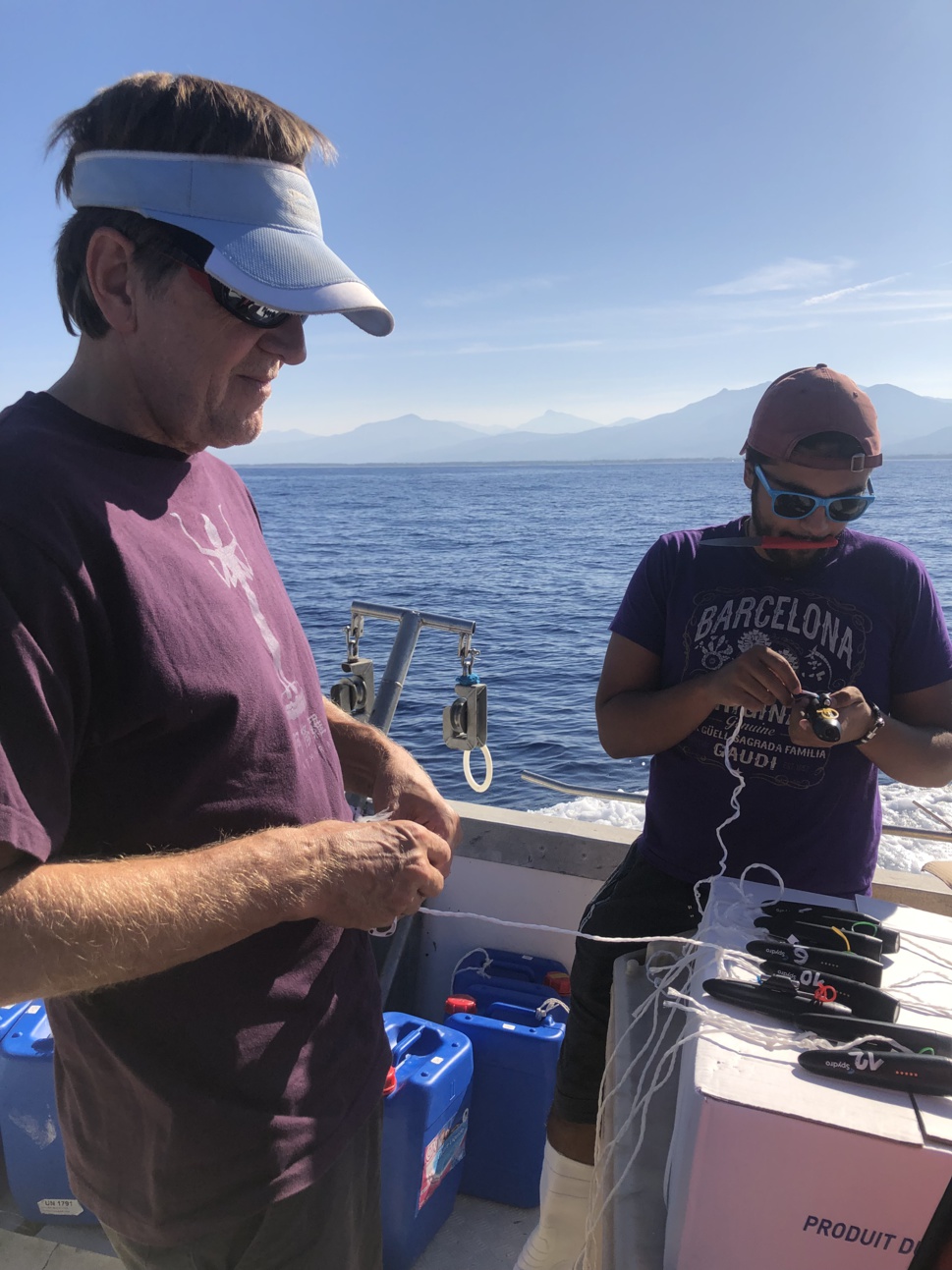 Le projet GENETREC en Corse