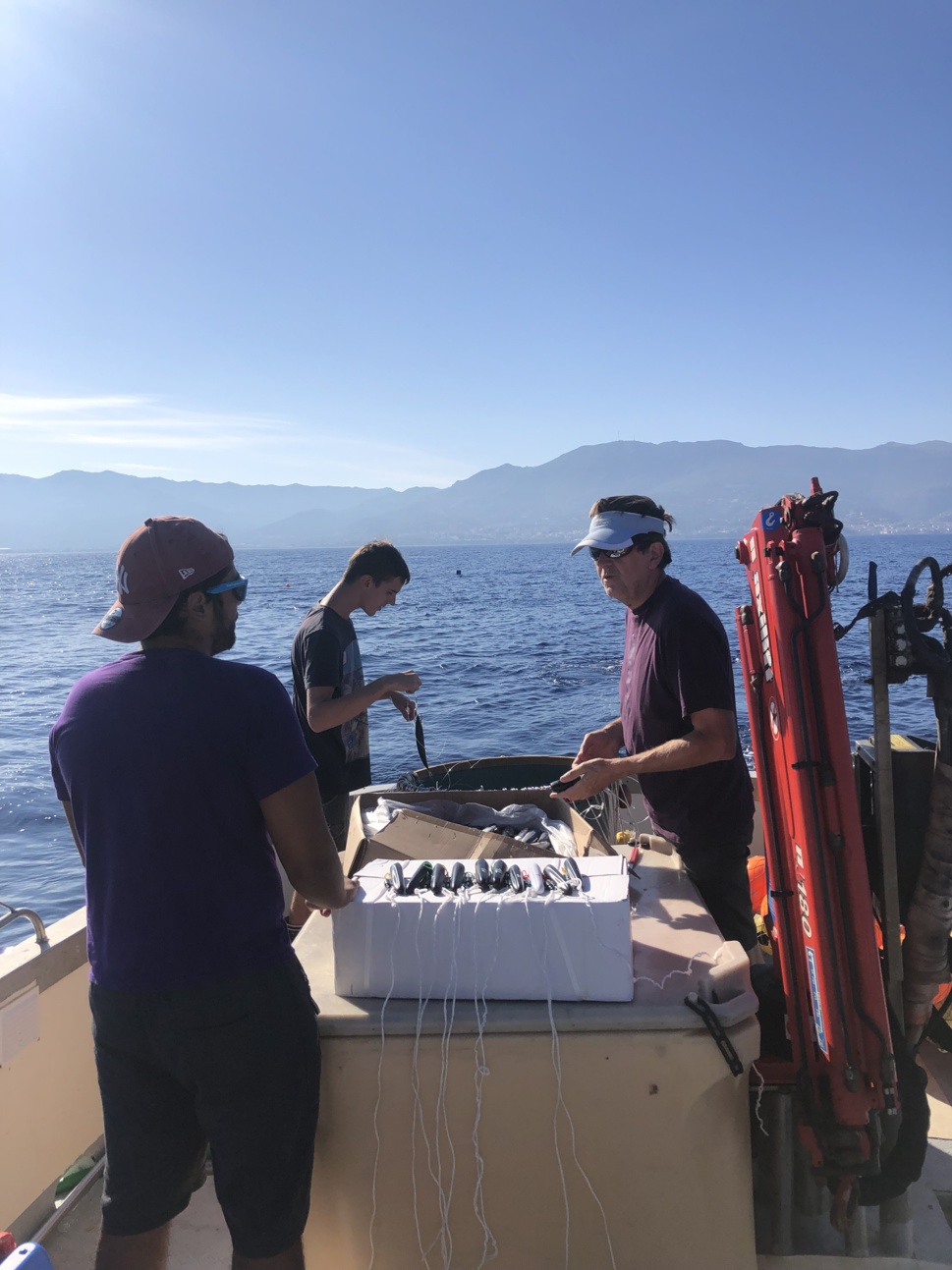 Le projet GENETREC en Corse
