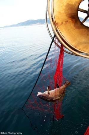 Le Pescaturisimu à Algajola