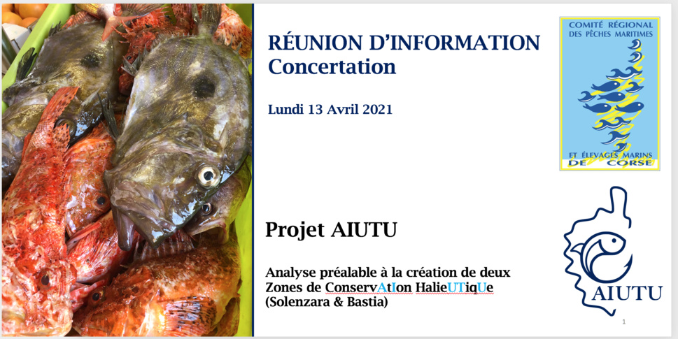 Réunion information AIUTU