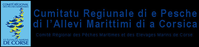 CORSIC'ANGE CORSIC'ANGE