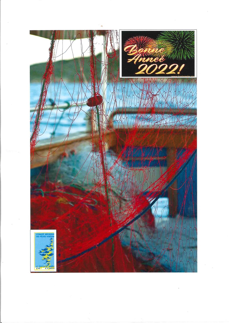 Article n°913