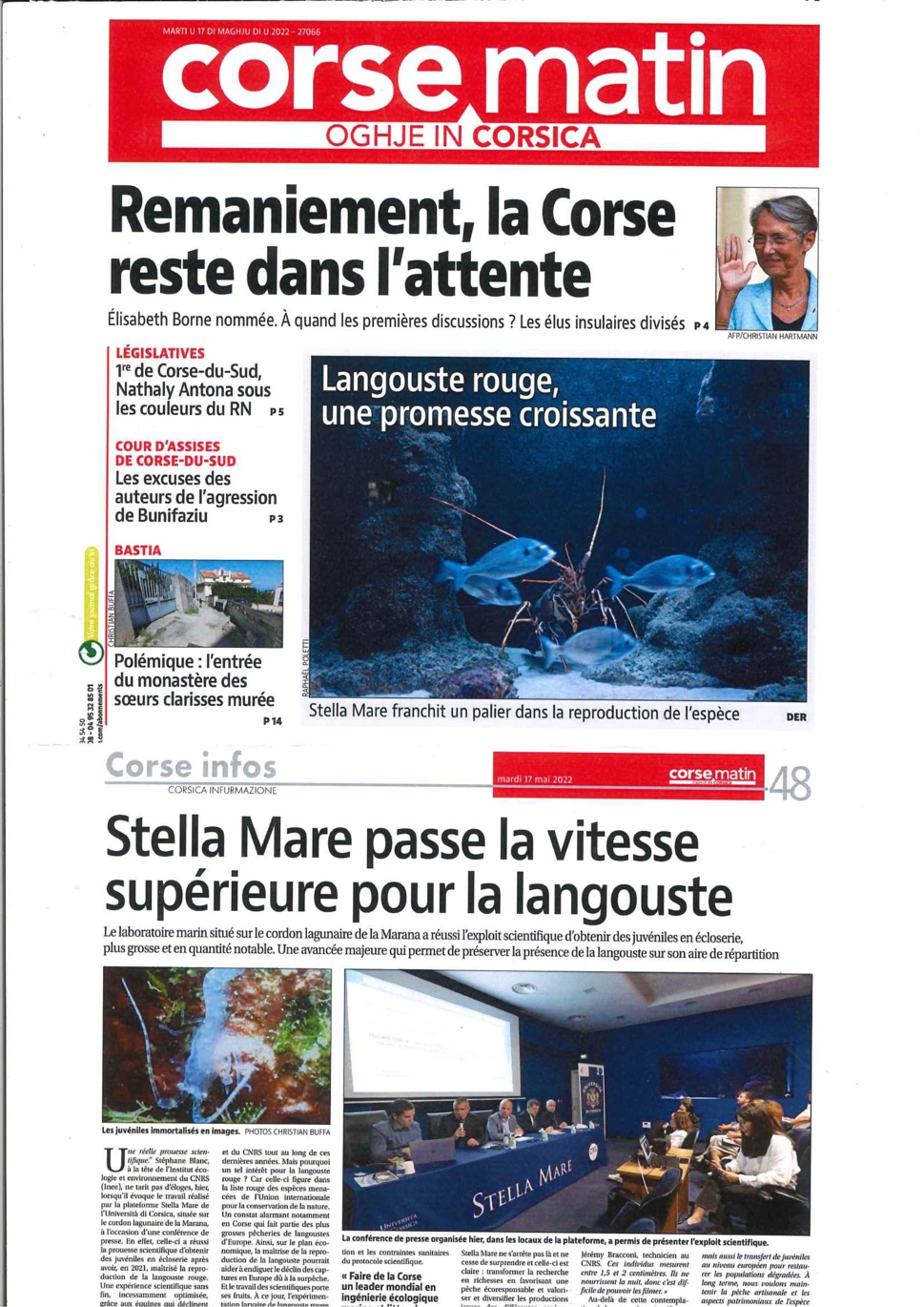 STELLA MARE - LANGOUSTE (17/05/2022)