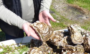 Photo Corse net info Photo Corse net info