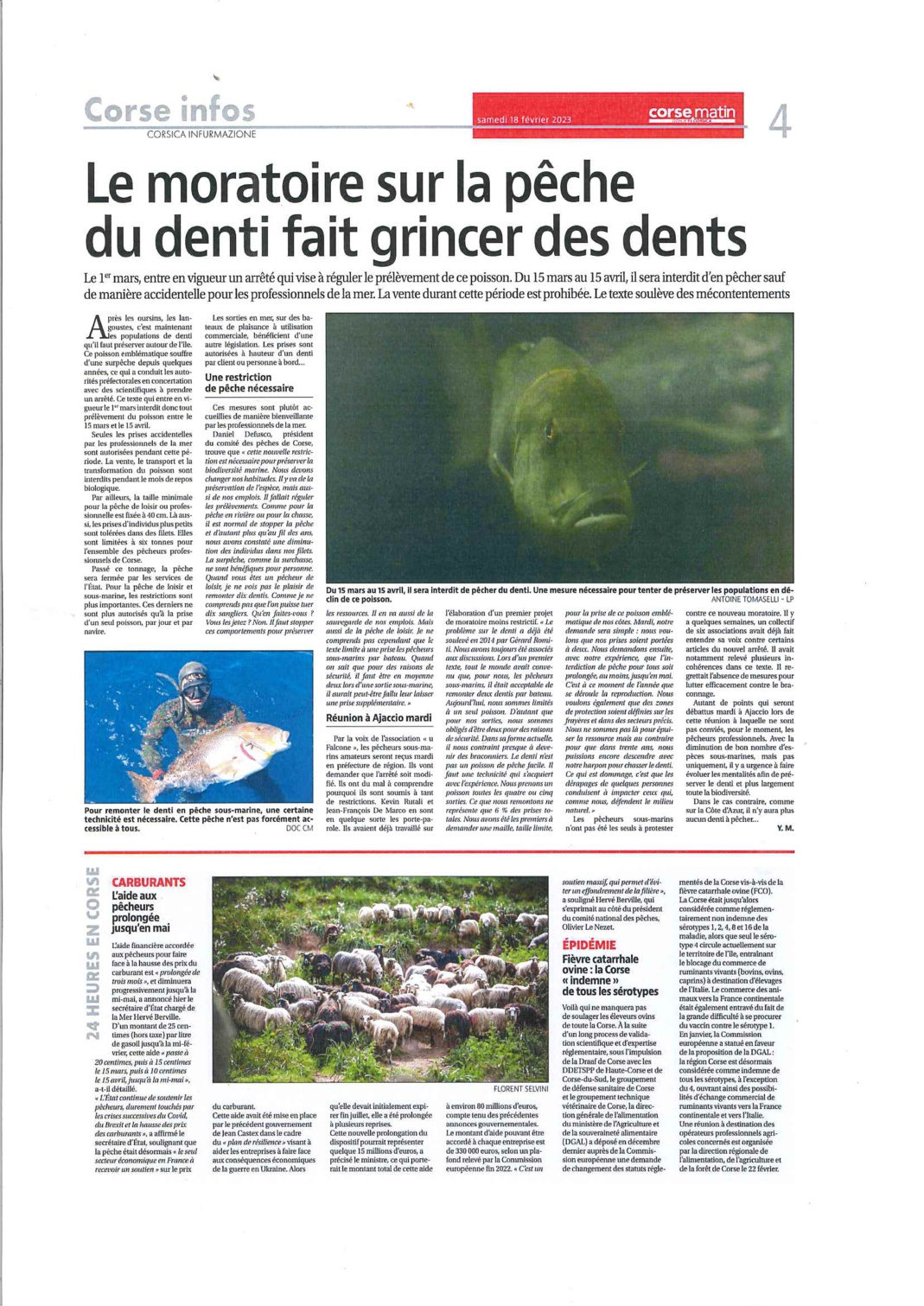 DENTI
