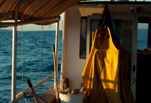 Les démarches simplifiées Les démarches simplifiées