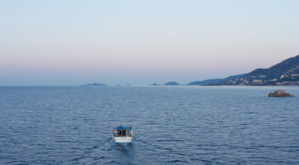 Les démarches simplifiées Les démarches simplifiées