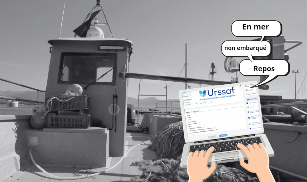 Déclarer ses embarquements ou ceux de ses marins Déclarer ses embarquements ou ceux de ses marins