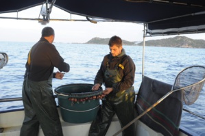 Les différentes techniques de pêche