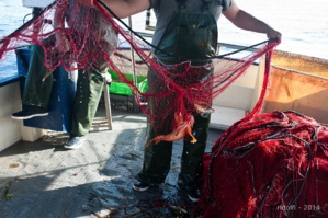 Les différentes techniques de pêche Les différentes techniques de pêche