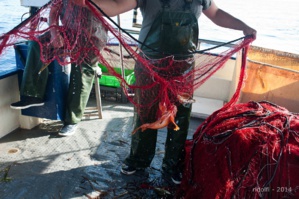 Les différentes techniques de pêche