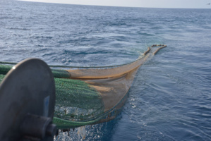 Les différentes techniques de pêche