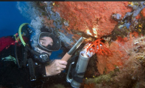 Le métier de Corailleur