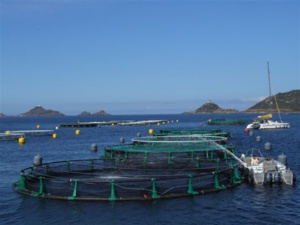 L'aquaculture en Corse