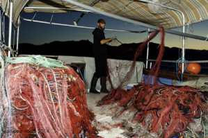 Comment devenir pêcheur professionnel en Corse ?