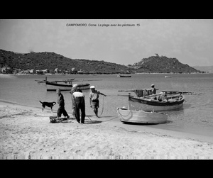 Les prud'homies de pêcheurs Les prud'homies de pêcheurs