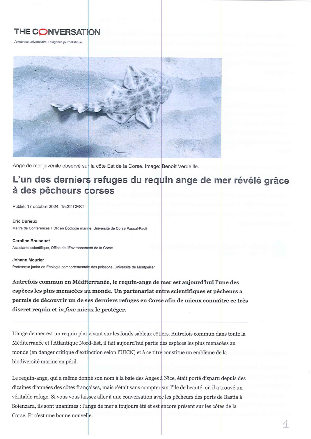 L'ange de Mer - l'un des derniers refuges du requin ange de mer révélé grâce à des pêcheurs Corse L'ange de Mer - l'un des derniers refuges du requin ange de mer révélé grâce à des pêcheurs Corse