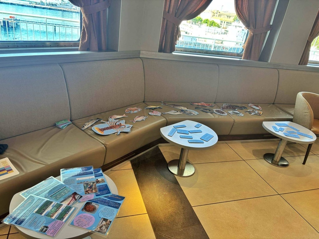 30 ème édition de la mer en fête, 30 ème édition de la mer en fête,