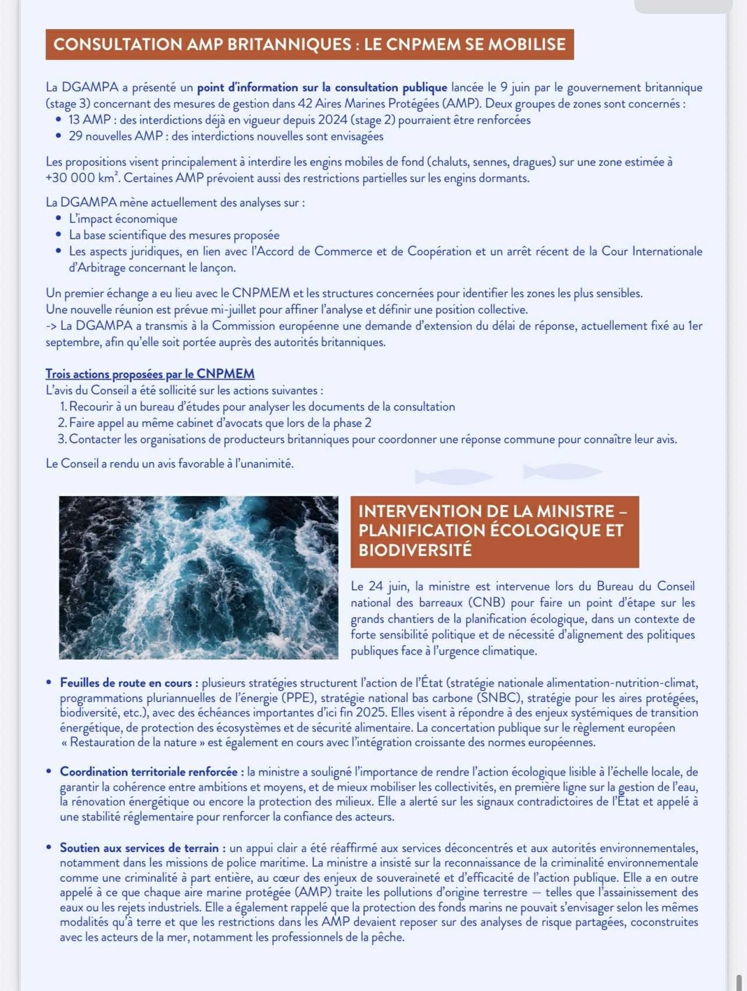 Newsletter du CNPMEM juillet 2025