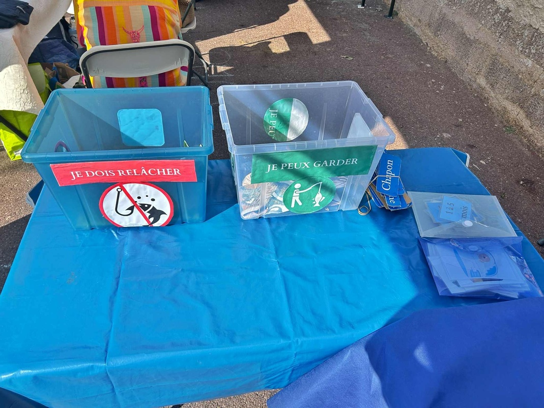 Apprendre les espèces marines