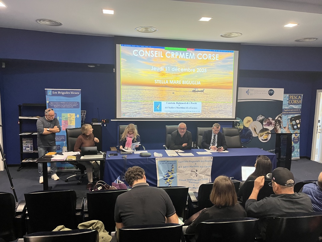 Le jeudi 11 décembre 2025 s'est tenu à Stella Mare le dernier conseil de l'année 2025 Le jeudi 11 décembre 2025 s'est tenu à Stella Mare le dernier conseil de l'année 2025