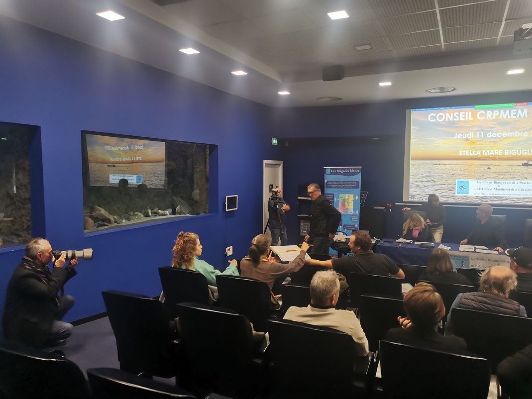 Dernier conseil de l'année 2025 Dernier conseil de l'année 2025