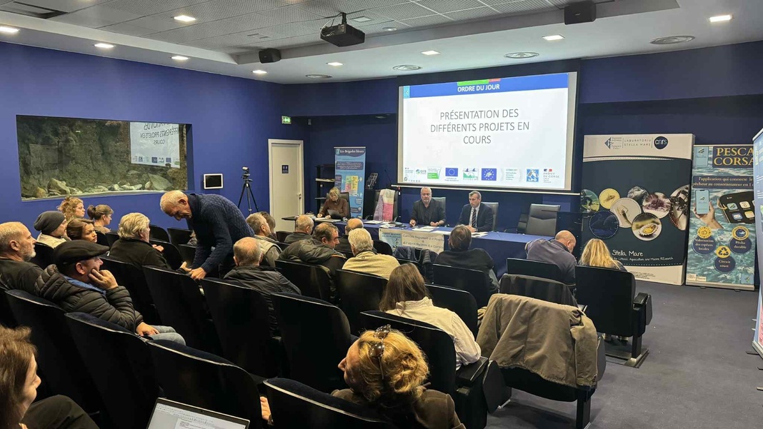 Conseil du CRPMEM de Corse – 11 décembre 202 à Stella Mare (Biguglia)