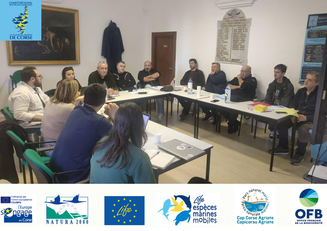 Réunion du 11/02/2026 pour le Life EMM et Convention pêcheurs partenaires